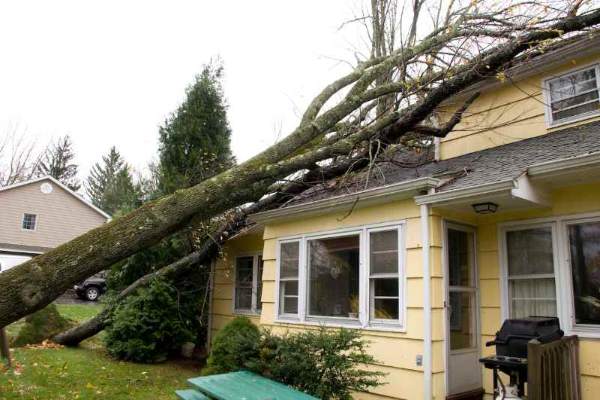 storm damage cleanup port clinton oh, port clinton oh, port clinton restoration services, emergency restoration services port clinton