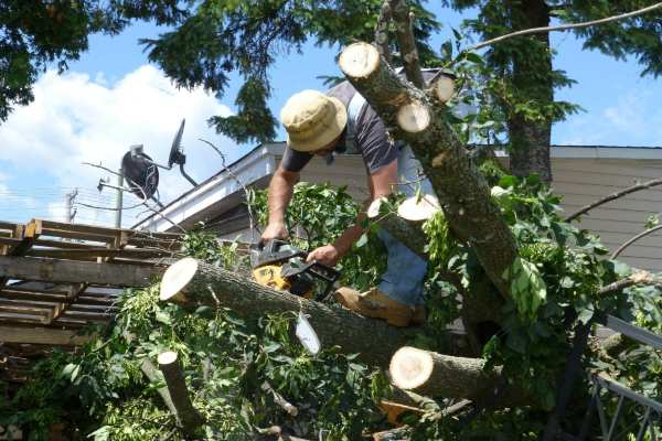 toledo oh, restoration services toledo oh, toledo restoration company, storm tree damage toledo oh