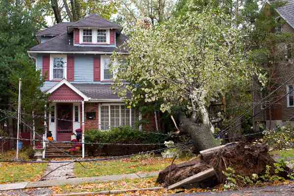 tree damage, tree damage repairs, storm damage restoration