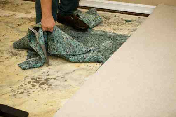 water damage cleanup services