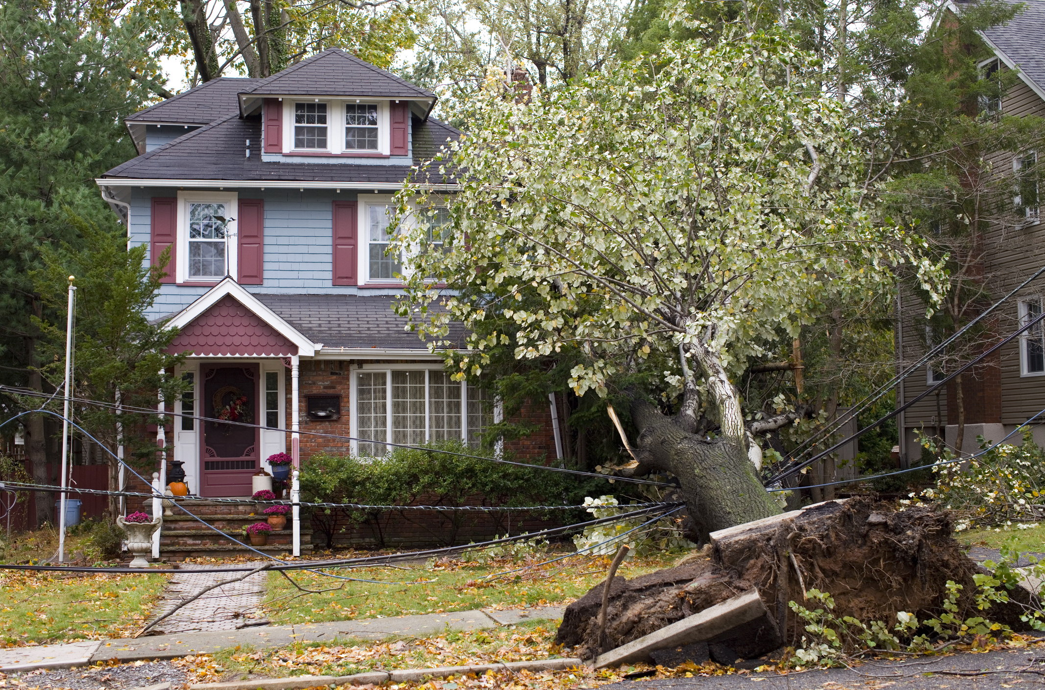 Storm Damage Maumee OH